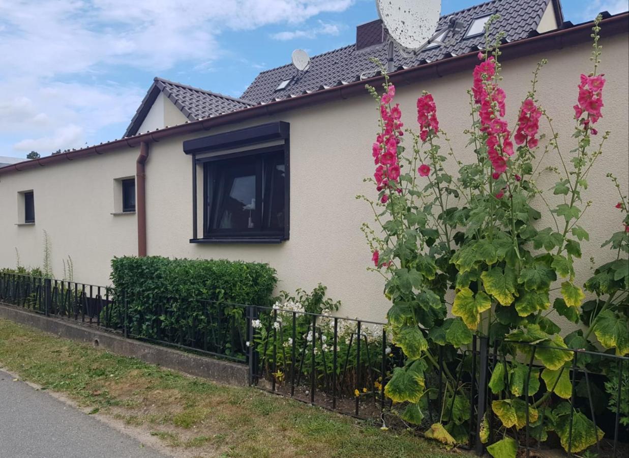 Ferienhaus An Der Ostsee Rerik Exteriér fotografie